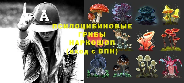 сатива Лихославль