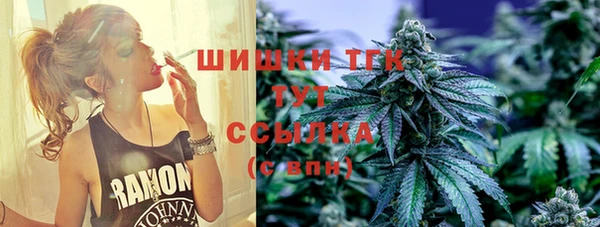 сатива Лихославль