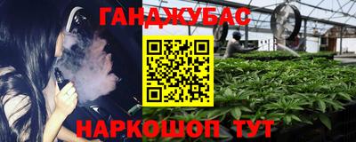 прущие крисы Тара