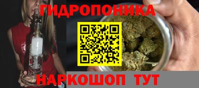 прущие крисы Тара