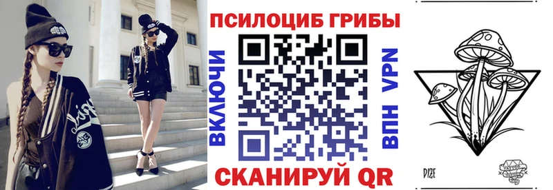 Галлюциногенные грибы мицелий  где купить   Норильск 