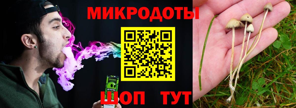 Псилоцибиновые грибы Cubensis Норильск