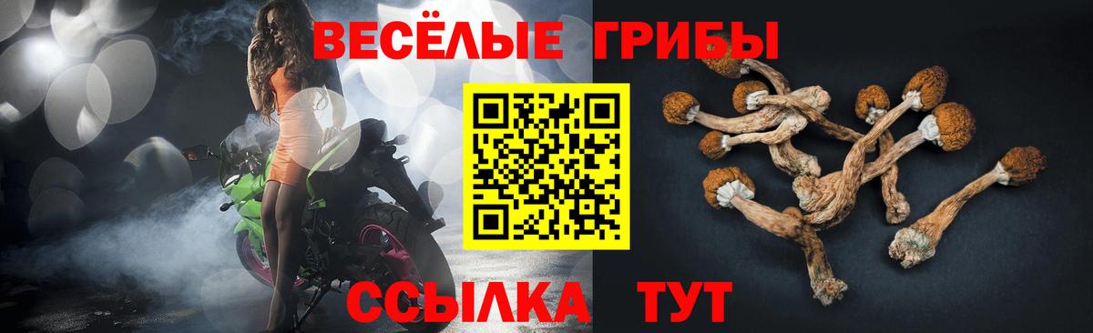 Норильск  Псилоцибиновые грибы Psilocybine cubensis  Вход с VPN  цена   Псилоцибиновые грибы мицелий 